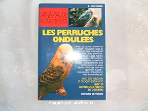 Les perruches ondulées