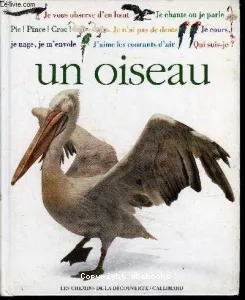 Qui suis-je ? un oiseau