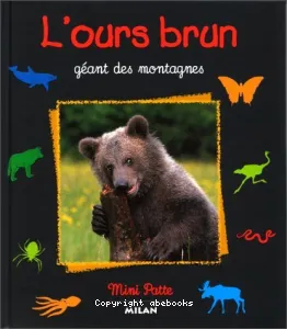 L'ours brun