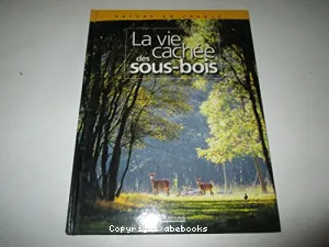 La vie cachée des sous-bois