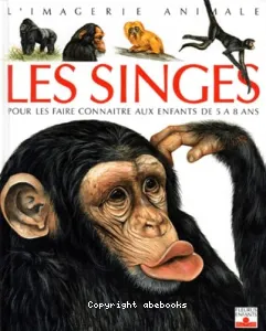 Singes (les)