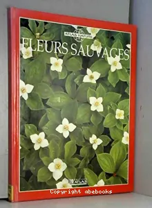 Fleurs sauvages