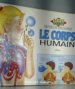 Le corps humain