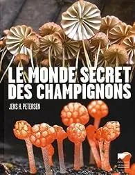 Le monde secret des champignons