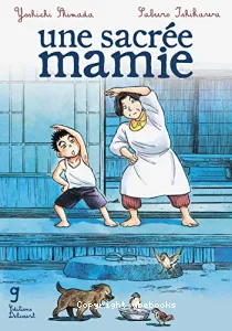 Une sacrée mamie (T8)