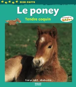 Le poney