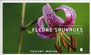 Fleurs sauvages des Cévennes