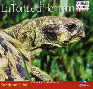La tortue d'Hermann