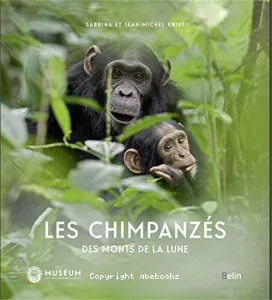 Les chimpanzés des monts de la Lune