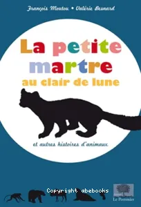 La petite martre au clair de lune