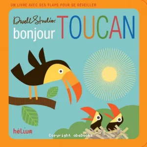 Bonjour Toucan