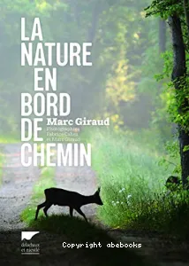 La nature en bord de chemin