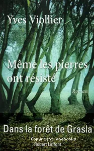 Même les pierres ont résisté