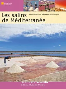 Les salins de Méditerranée