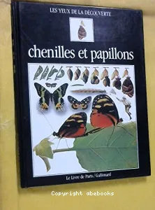 De la chenille au papillon