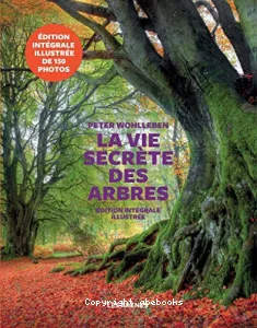 La vie secrète des arbres