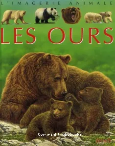 Les ours