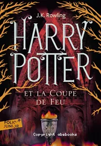 Harry Potter et la coupe de feu