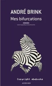 Mes bifurcations