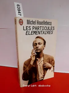 Les particules élémentaires