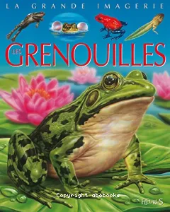 Les grenouilles