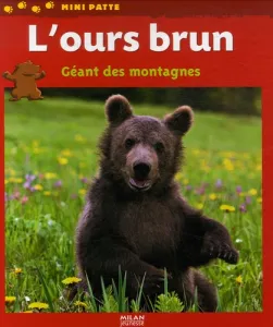 L'ours brun