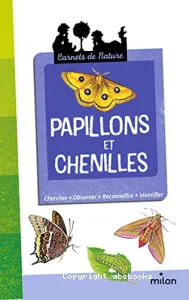 Papillons et chenilles