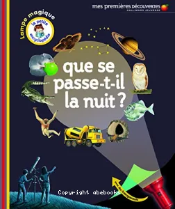 Que se passe-t-il la nuit?