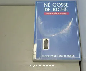 Né gosse de riche