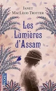 Les lumières d'Assam