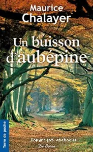 Un buisson d'aubépine