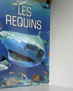 Les requins