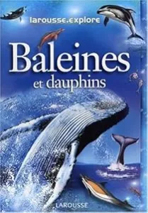 Baleines et dauphins