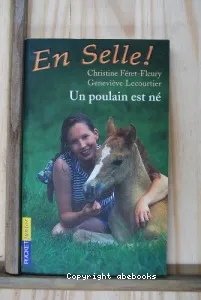 Un poulain est né