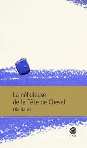 La nébuleuse de la Tête de cheval