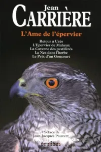 L'âme de l'épervier