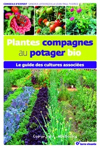 Plantes compagnes au potager bio