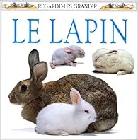 Le lapin