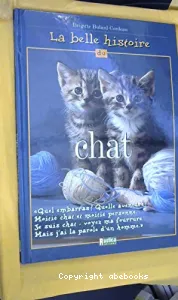 La belle histoire du chat