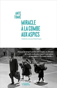 Miracle à la combe aux Aspics