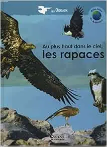 Au plus haut dans le ciel, les rapaces