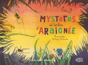 Mystères et toiles d'araignée