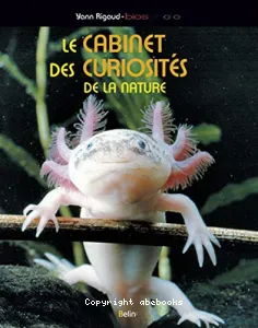 Le cabinet des curiosités de la nature