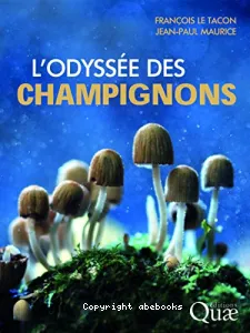 L'odyssée des champignons