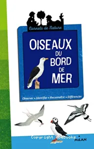 Oiseaux du bord de mer