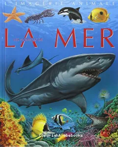 la mer