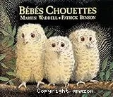 Bébés chouettes