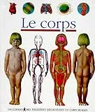 Le corps