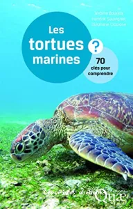 Les tortues marines