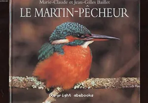 Le Martin-pêcheur